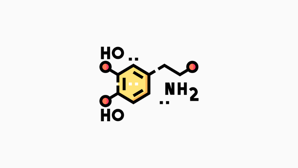 Dopamine chemical