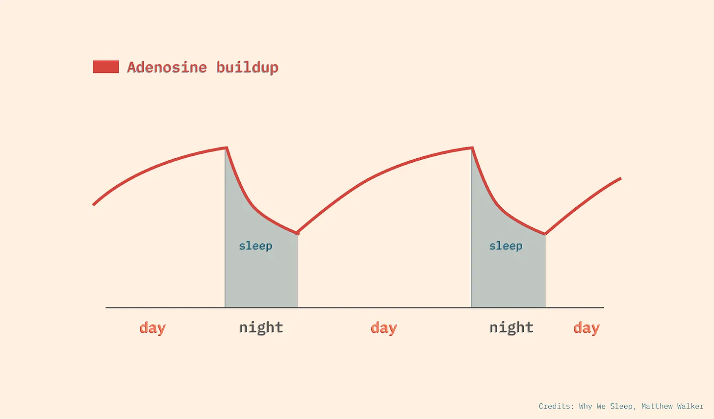 The Ultimate Guide to Sleep – Gareth Evans