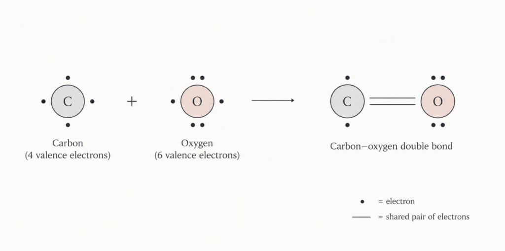 carbon-oxygen double bonds