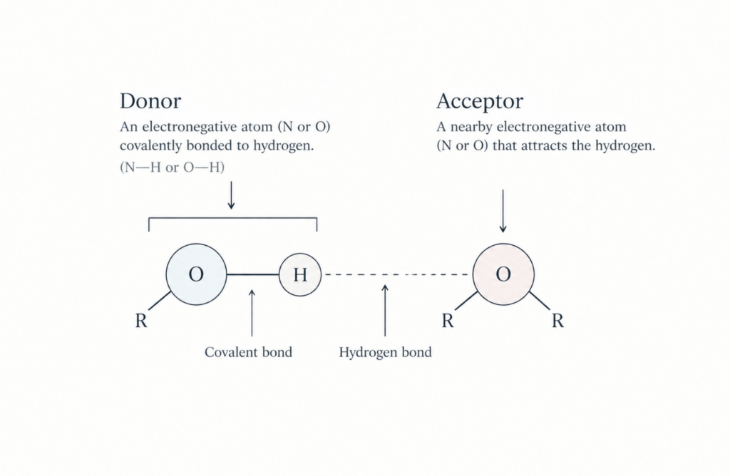 Donor and accept in hydrogen bonds